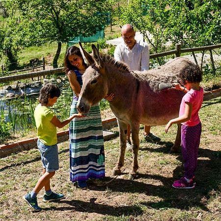 Vale Do Ninho Nature Houses Ferraria de Sao Joao ภายนอก รูปภาพ