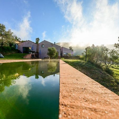 Vale Do Ninho Nature Houses Ferraria de Sao Joao ภายนอก รูปภาพ