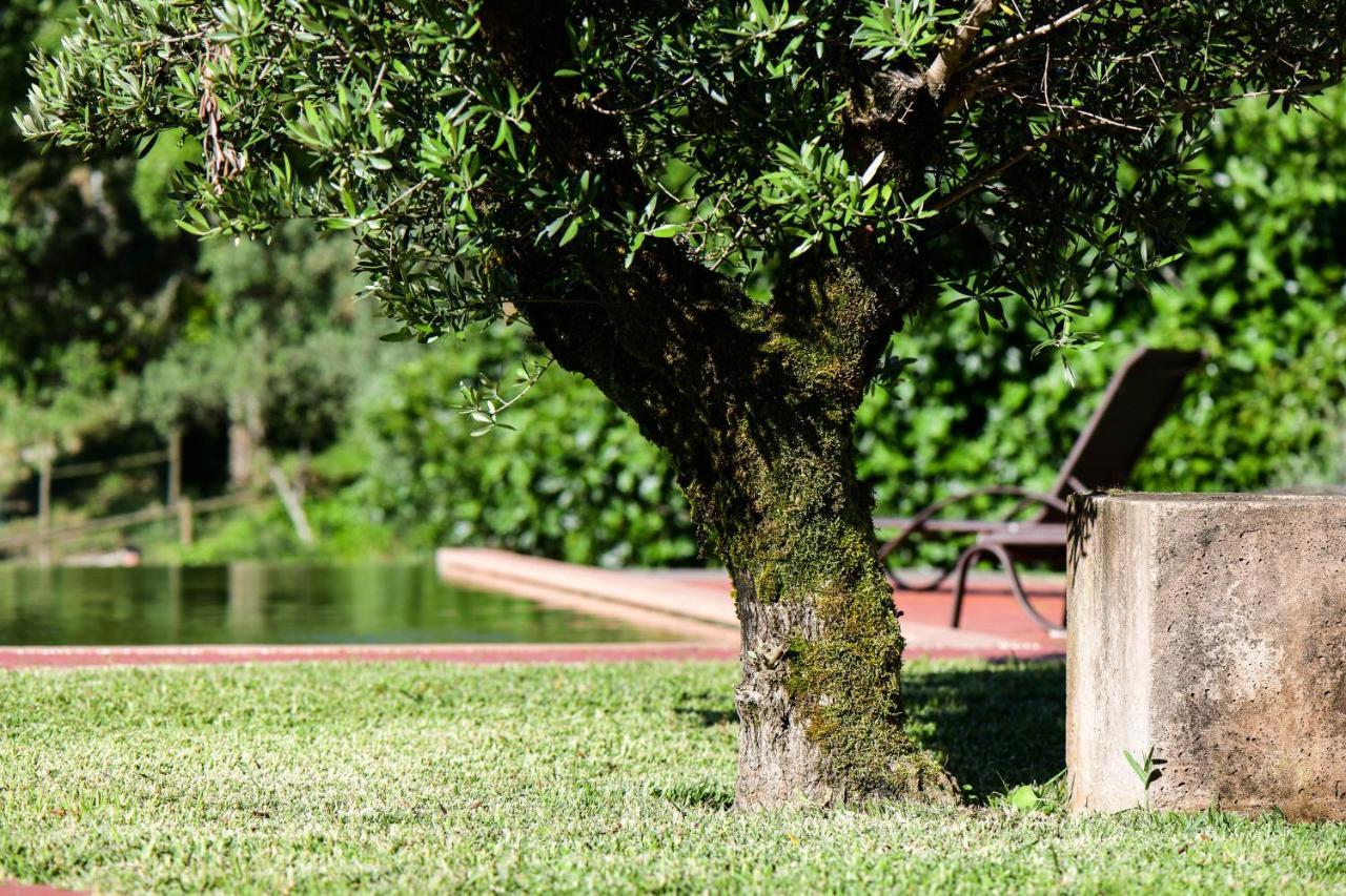 Vale Do Ninho Nature Houses Ferraria de Sao Joao ภายนอก รูปภาพ